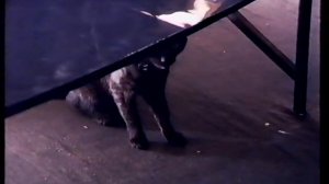 Премьерный анонс "Русской рулетки" (март 2002)