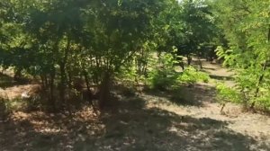 Привезли бытовку.Юг бытовка24 Ростов на Дону.Рекомендую)