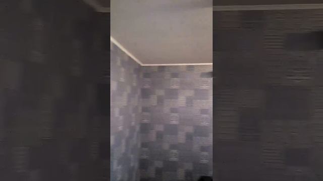 Ремонт квартира на спб обухоский оборон дом 138 смотреть онлайн