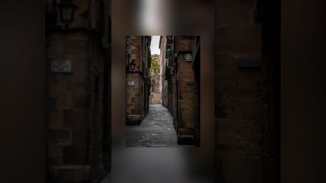 Урок безопасности "Опасный незнакомец" смотреть онлайн