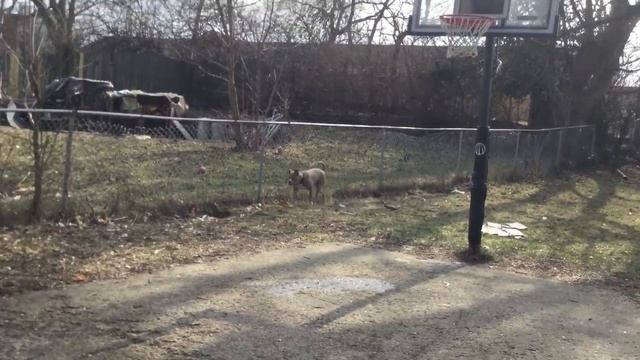 Crazy wubble bubble explosion смотреть онлайн