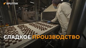 Шоколадная фабрика показала процесс производства конфет и батончиков