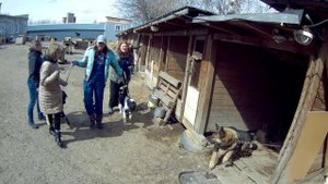 Мокрый нос Киров 30.04.2022. Видео 2