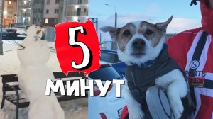 Даже в эти 5 минут можно сделать очень много?