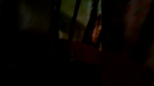 Хомяк заболел! смотреть онлайн