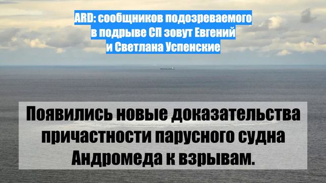 ARD: сообщников подозреваемого в подрыве СП зовут Евгений и Светлана Успенские