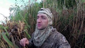 ОХОТА НА УТКУ. Взял норму! Кряквы тьма!! ТОЗ 34