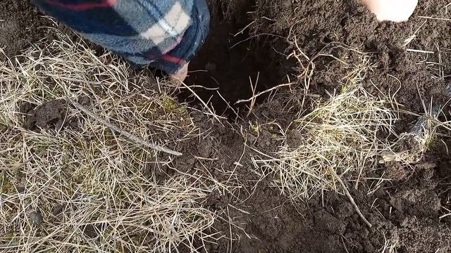 КЛАДУХА с Nokta Makro Legend!!! видео от подписчика