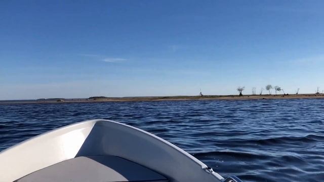 Terhi 385 with Tohatsu MFS 5 CSS #2 смотреть онлайн