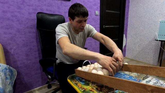Инкубация индюшиных яиц. Жизнь в деревне.