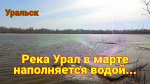Река Урал в марте! На связи Актобе.