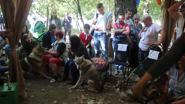 Влчаки Чешский фестиваль 2019 Надежда Вишнякова смотреть онлайн