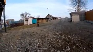 Питбуль Араб монстр !!! Колобок, БОнита и Араб чуть не устроили массовую драку.