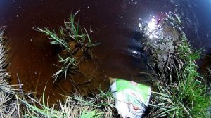 Рыбалка на карася деревня Бадажки НСО (2)