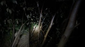 АНЕКДОТ. ЗОЛОТЫЕ РУКИ.