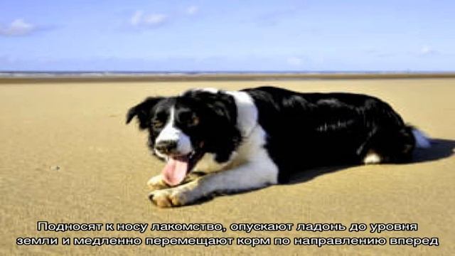 Команда 'Ползи' смотреть онлайн