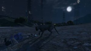 GTA 5 / Играем пумой - лофофора