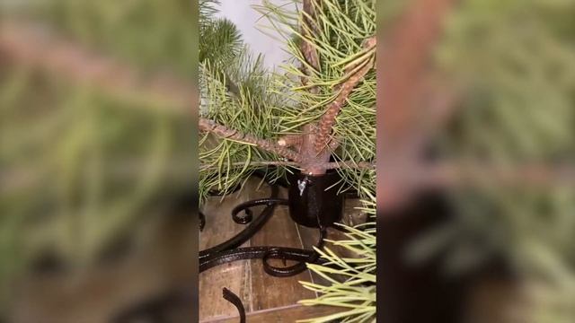 Подставки под елку. Металлическая, кованая. "Снежинка" смотреть онлайн