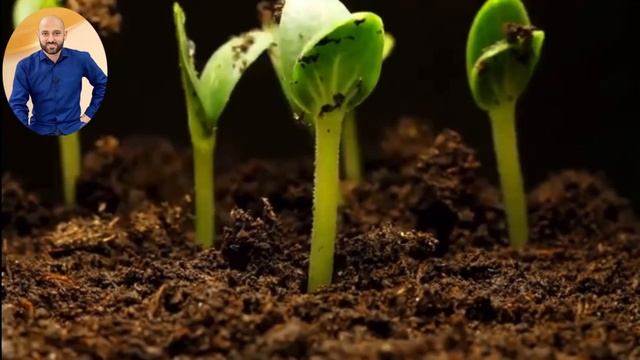 Пророческая молитва «Второе дыхание для ослабевших» | Пастор Александр Мунтеану смотреть онлайн