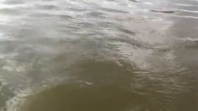 Кав вывели судака на 4 кг смотреть онлайн