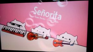 котики поют😻😻