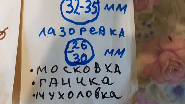 Синичник  и скворечник.Вред саду ягод.Отличия размера диаметра входа, размеры летка, схема,чертеж .