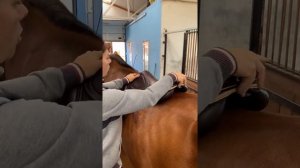 Как подобрать седло по лошади?