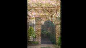 Деревянные калитки/ Идея для сада и дачи/ wooden gate