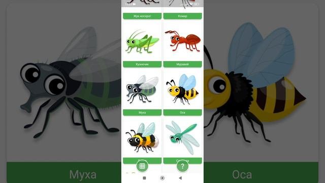 развивающая игра для детей угадай насекомых #детям #игры #животные #развитиеребёнка