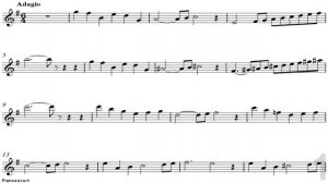 C.Saint Saens - le cygne - The Swan (Violin,cello or Flute) - Piano accompaniment