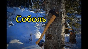 Соболь. Новые тесты