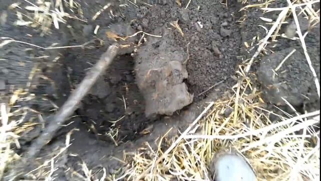 ПРОСТО СУПЕР КОП ЧЕРМЕТА НА СТАРОЙ ФЕРМЕ