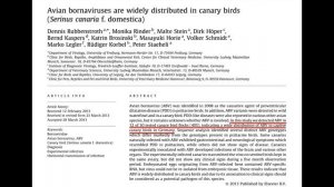Какие птицы болеют борнавирусом?  Болеют ли  волнистые попугаи,  канарейки, водоплавающие?