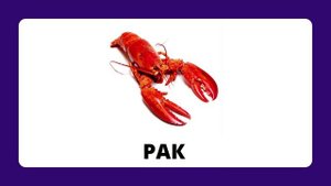 Рыба и морепродукты.mp4