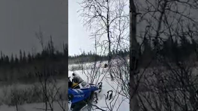 Немножко застряли на снегоходе смотреть онлайн