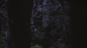 Twin Peaks Ambient Music