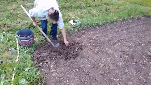 САЖАЕМ АРБУЗЫ В ПОДМОСКОВЬЕ смотреть онлайн