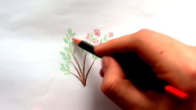 как рисовать с цветными карандашами: урок 1 растение смотреть онлайн