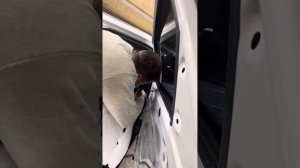 Как снять заднюю ручку двери хавал джулион