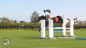 Olympian Rodrigo Pessoa Shares His Favorite Gymnastic