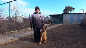 Воспитание щенка. Как вырастить хорошую охранную собаку?