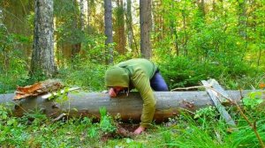 11.?☠?МЕСЯЦ ВЫЖИВАНИЕ В ДИКОЙ ПРИРОДЕ БЕЗ НИЧЕГО _ СТАНОК ДЛЯ ДОБЫЧИ ОГНЯ _ УСТАНОВКА ЛОВУШКИ _ ЛЕС