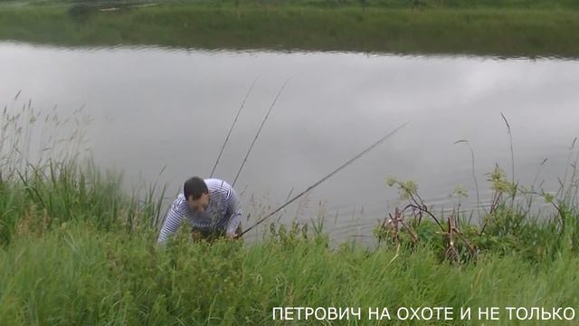 #РЫБАЛКАНАДОНУ#ЖЕСТЬ СТОЛЬКО РЫБЫ. НЕ УСПЕВАЮ НА 2 ФИДЕРА.ЧТО ЭТА ЗА РЫБА???