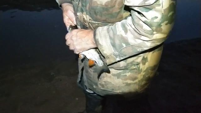 Рыбалка на резинку.  Вылет "бабки" на Вятке.