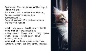 Пословицы и поговорки на английском с переводом на русский язык.  Разбор пословиц и поговорок.