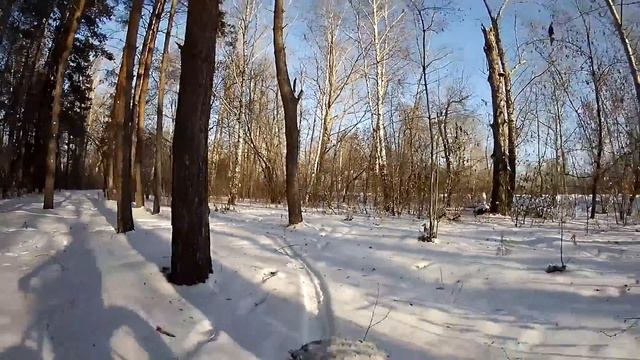 08.11.2016.Омск.Лес, Парк Шале. смотреть онлайн