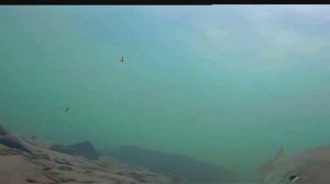 Хариус зимой. Часть 2.mp4