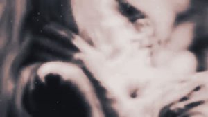 Peter Pan + Wendy Darling | Umbrella