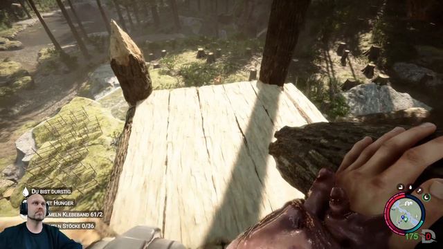 Sons of the Forest St.1/ Flg.34: Fliegende Mutanten, echt jetzt? смотреть онлайн