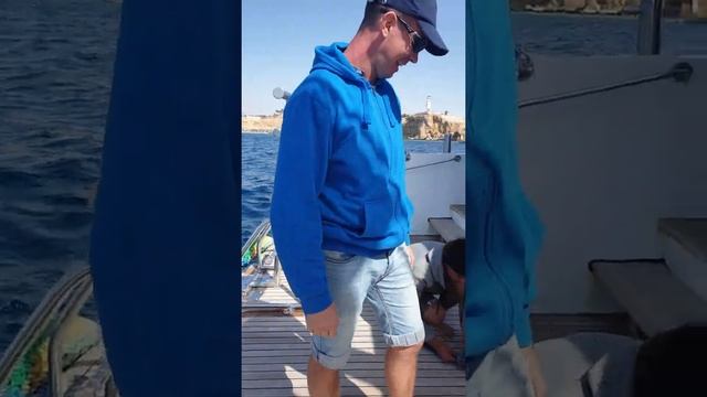 Какой цвет у красного моря?